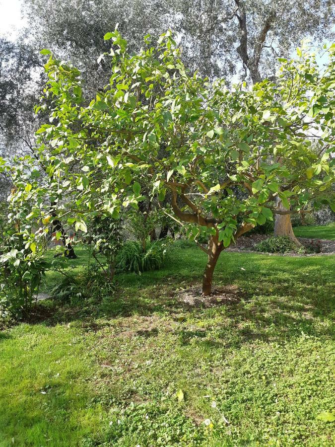 Casa Vacanze Ester Brenzone sul Garda Luaran gambar